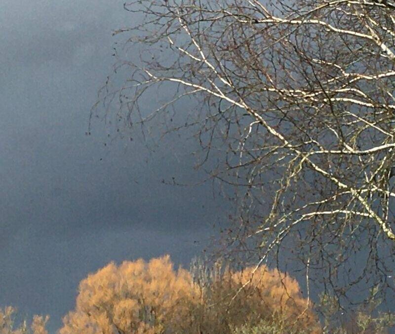 Zuchten, steunen, kreunen