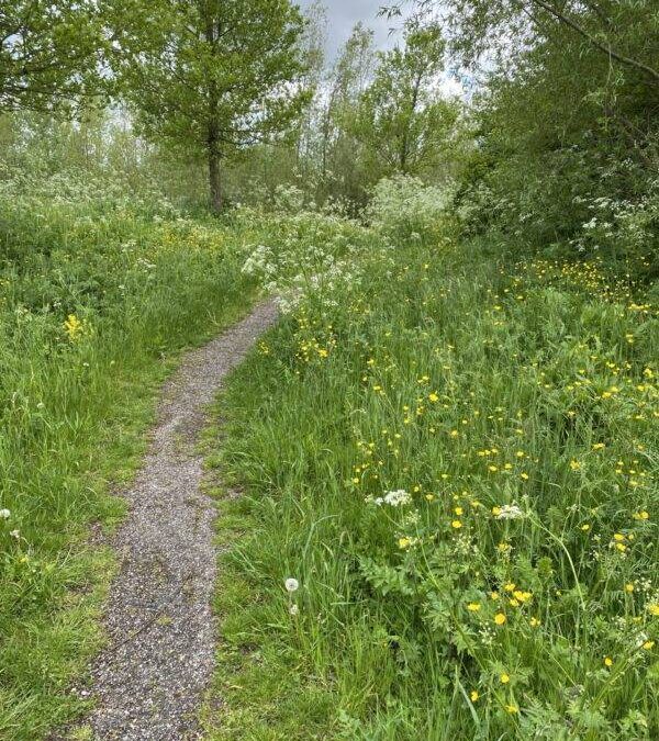 Twest en Twaccinatie