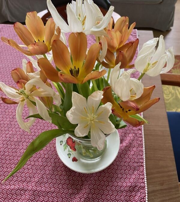 Twee voor de prijs van één