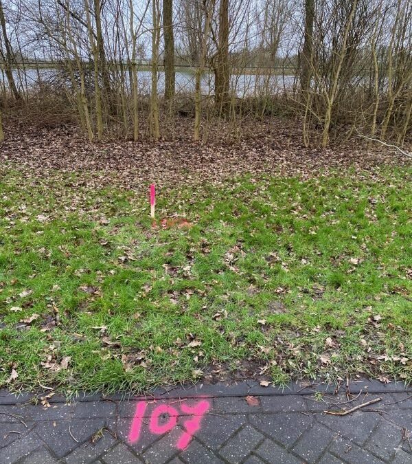 Betekenisloos, onnuttig en doelloos