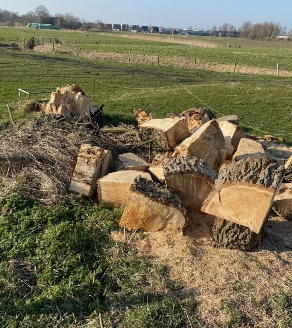 Ik ga op reis en ik neem mee…