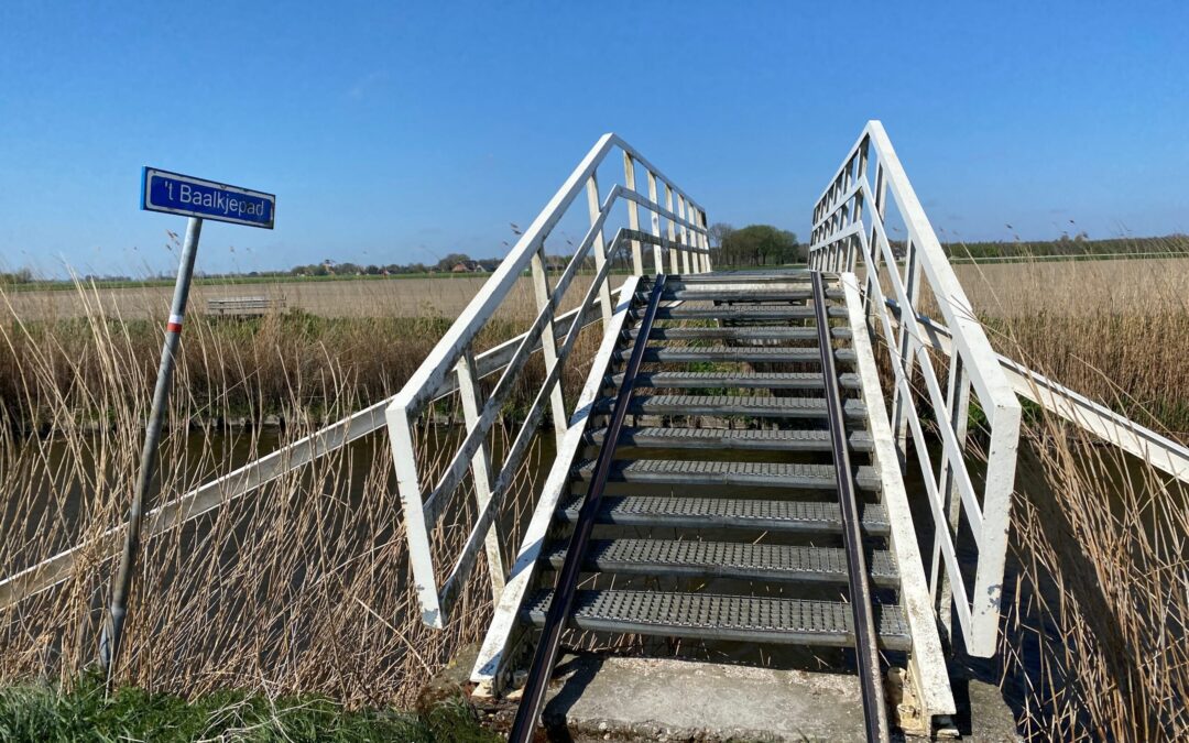 Een kijkje in de (koel)kast