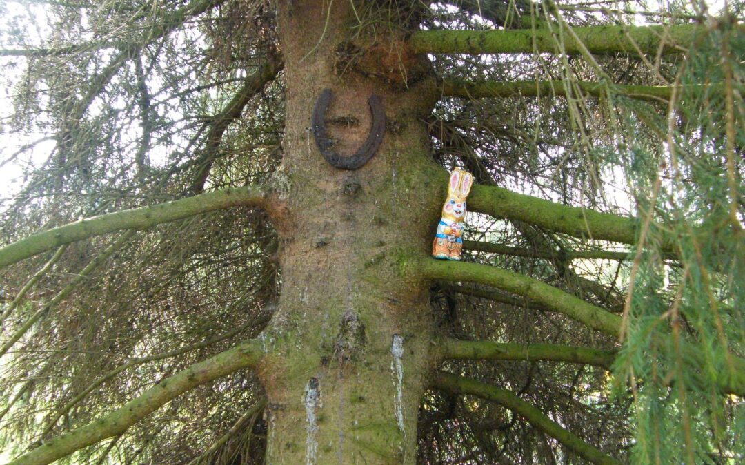 Er springt iets in het oog