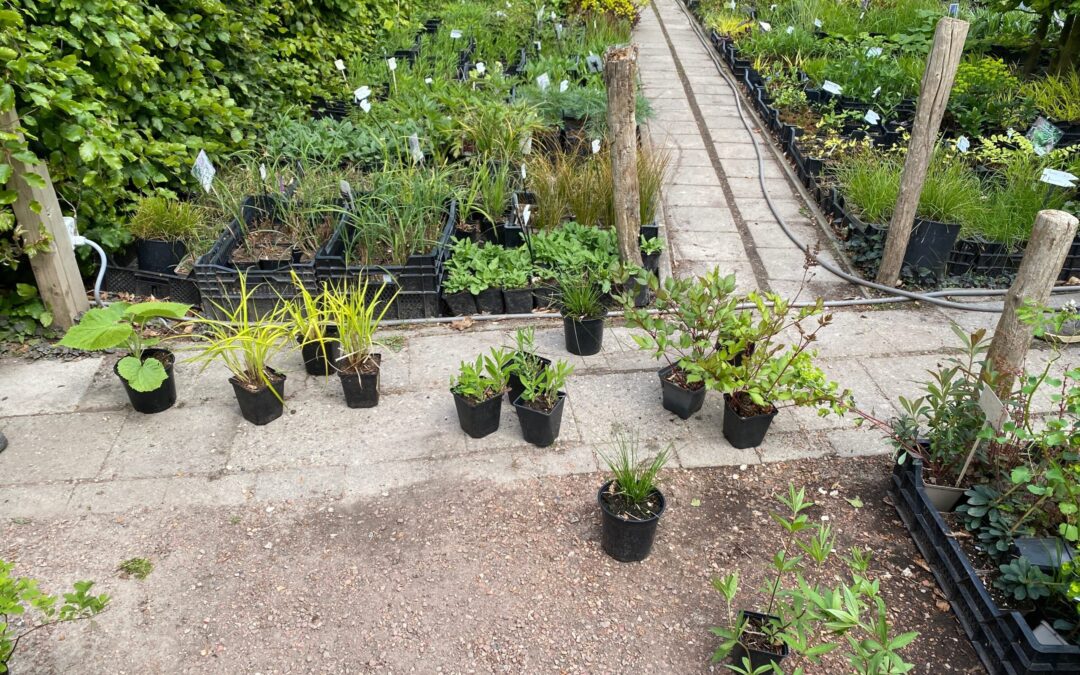 Groei kan ook mooi zijn