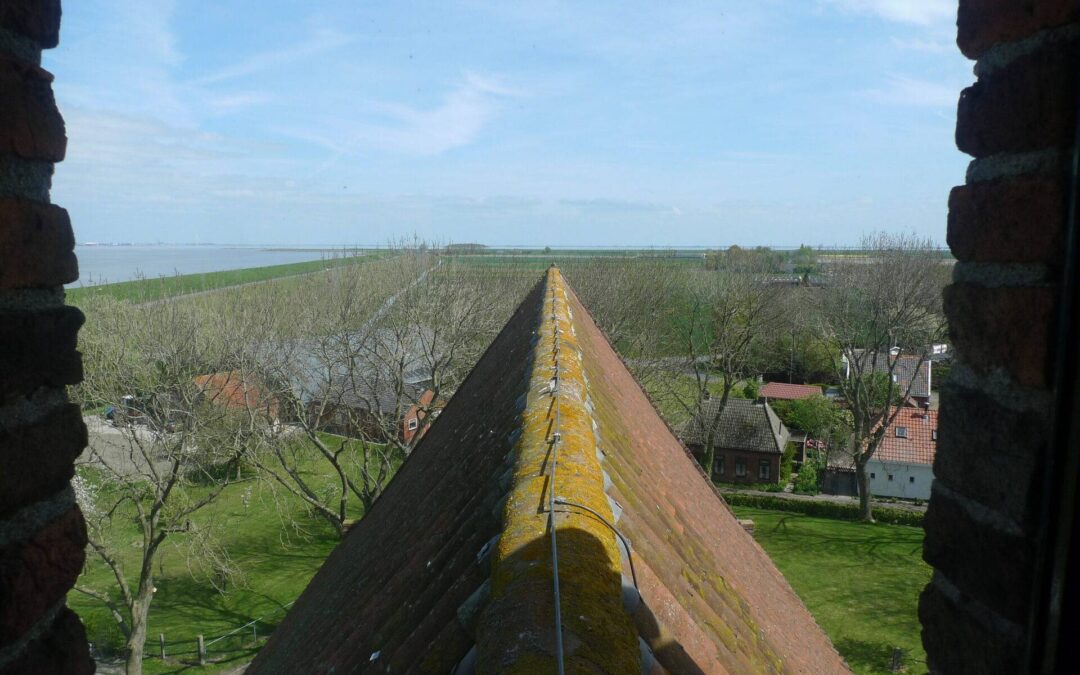 Automatische concepten