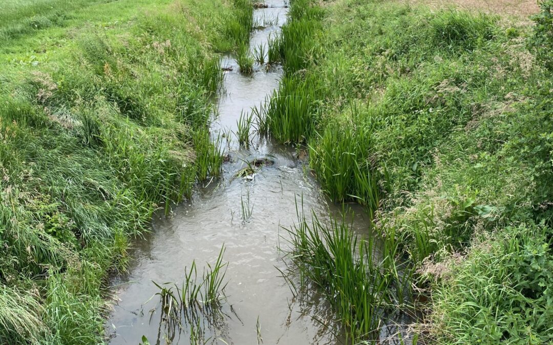 Kabbelende stroompjes