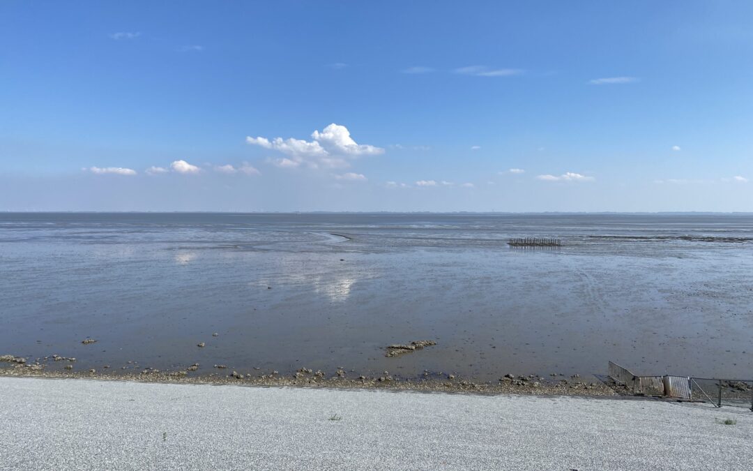 Niks te warm voor woorden