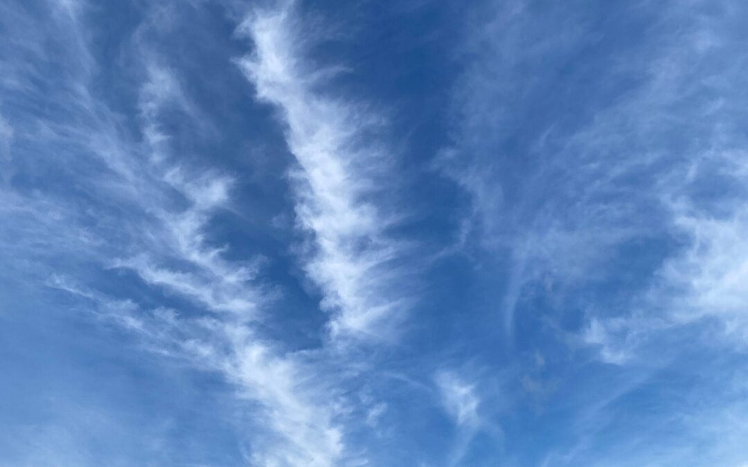 Over Opa’s en oma’s