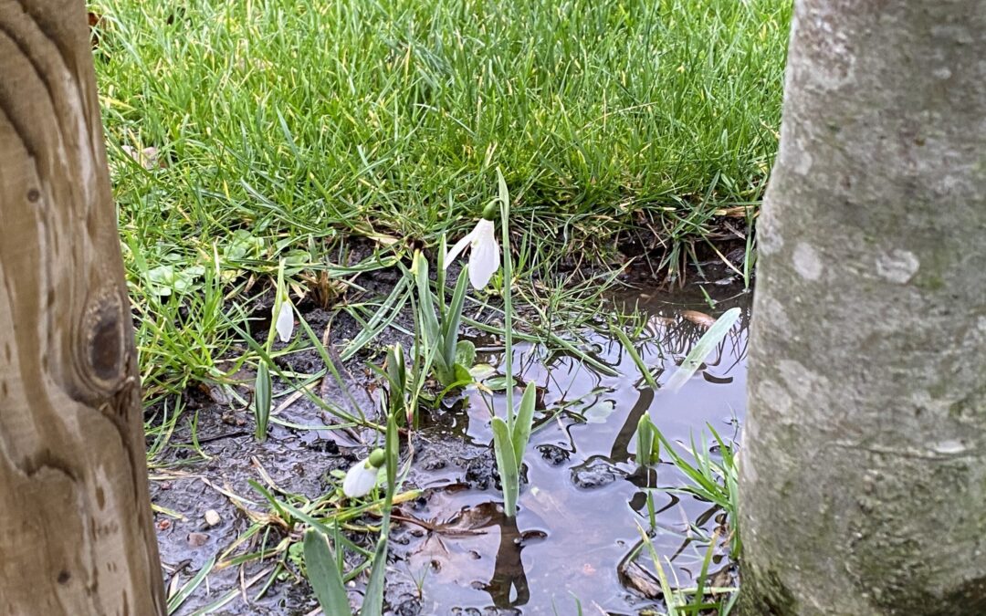 Voetjes in het water