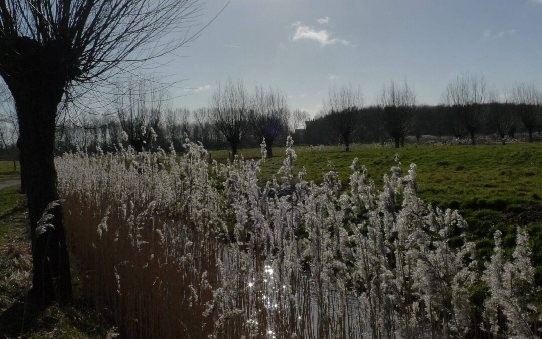 Iets over zeven sloten