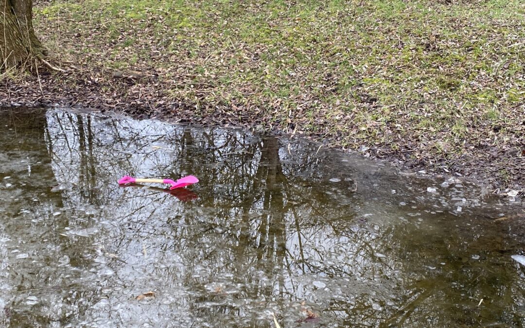 Het roze schepje