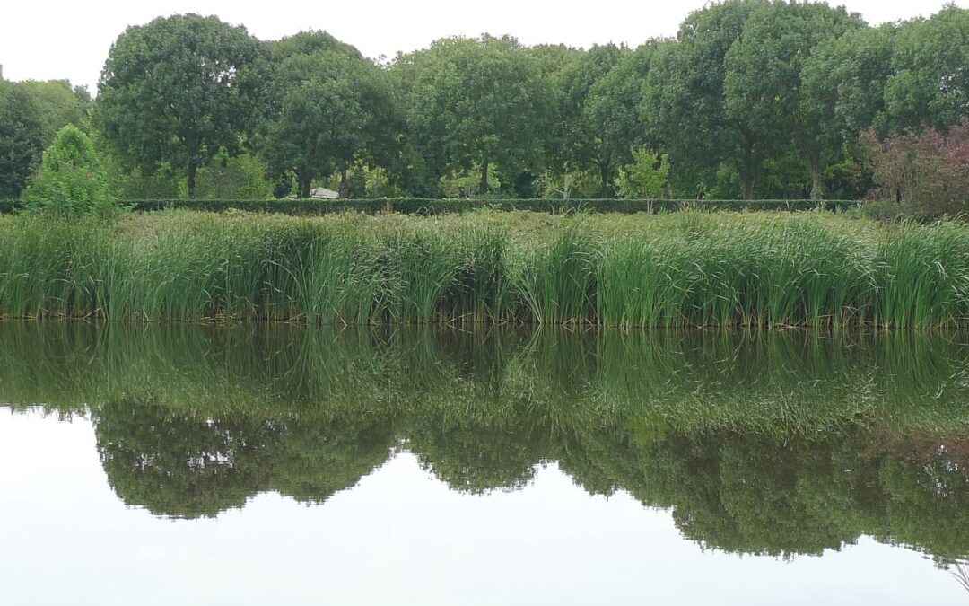 Spiegelen