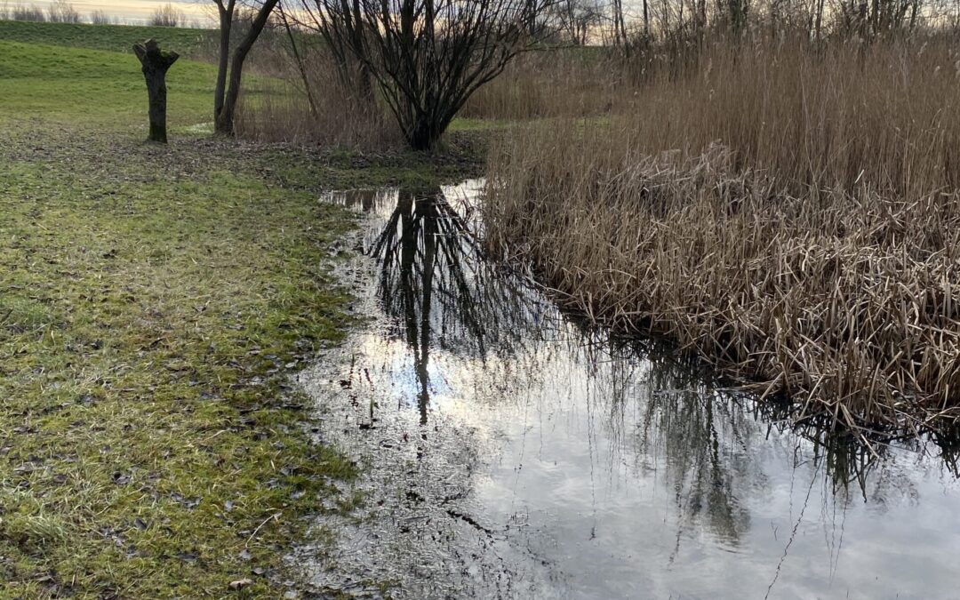 Van alles wat