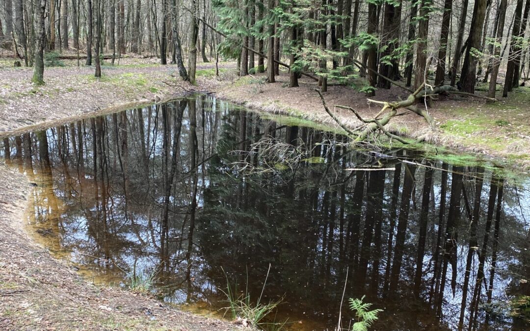Stille waters