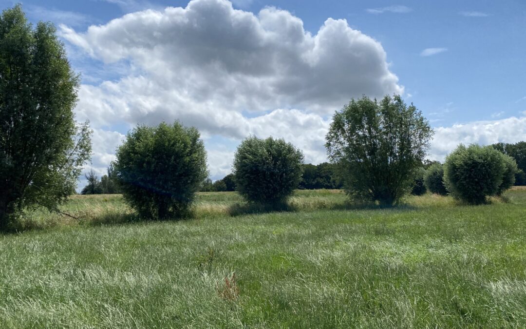 Ik mag graag lopen