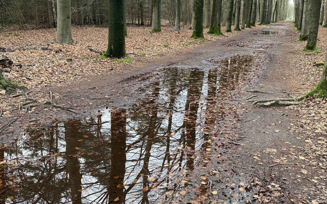 Over de ziel, het zorgen ervoor en waar die van mij is.