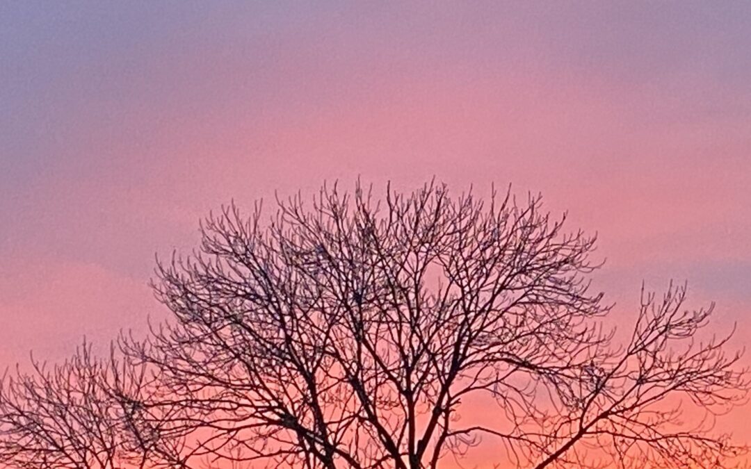 Avondrood