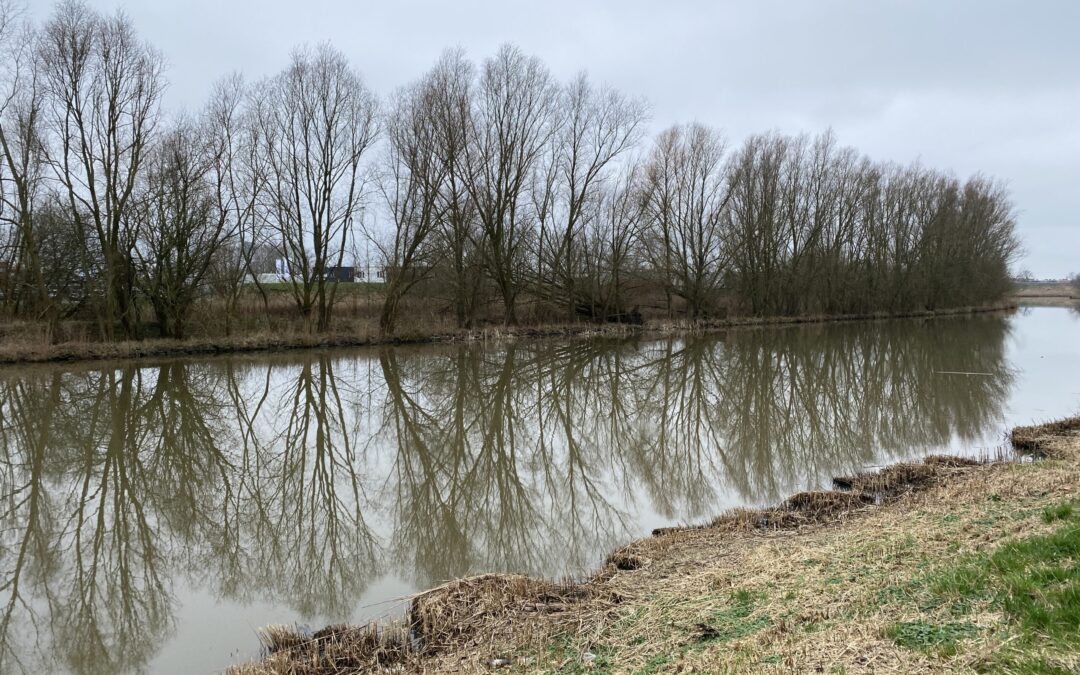 Weerspiegelen – weer spiegelen