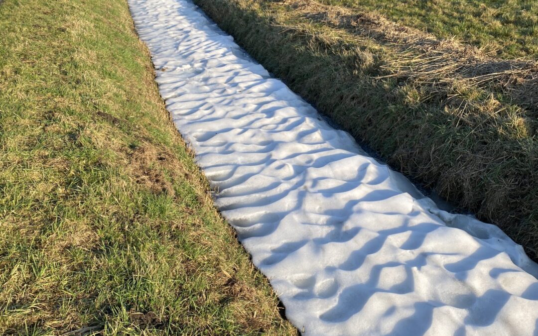 Te vroeg in de kroeg