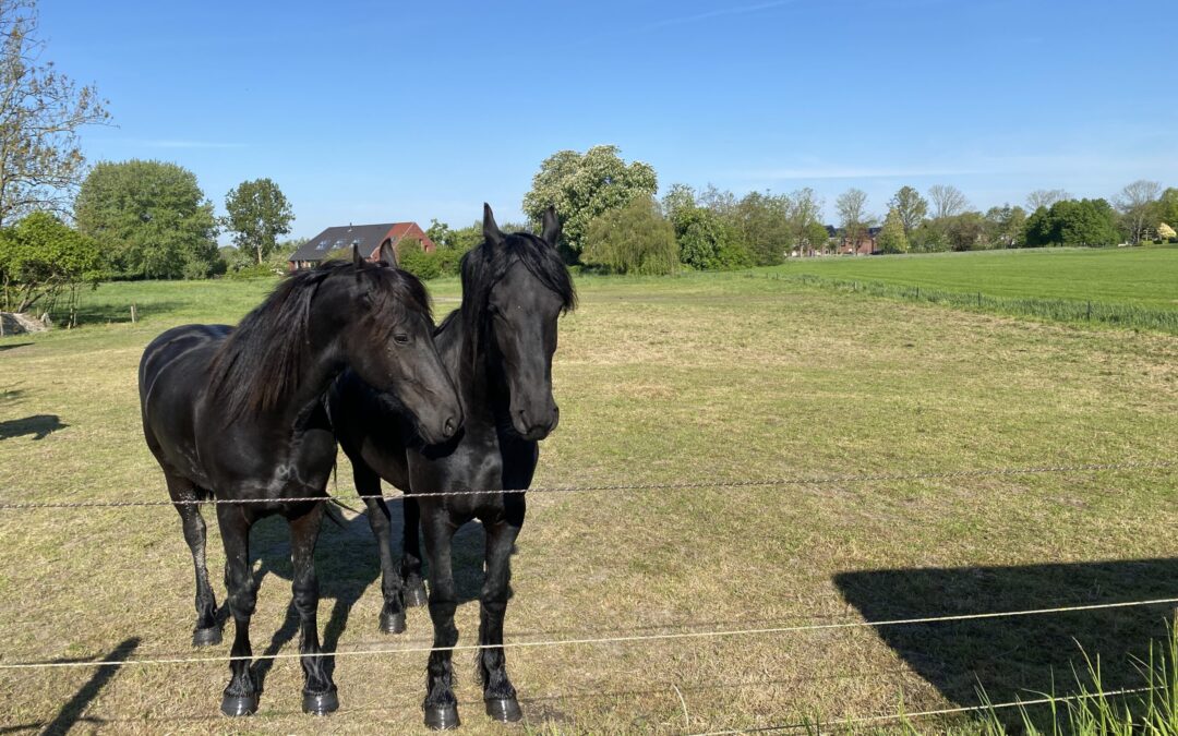 Rouw en verdriet