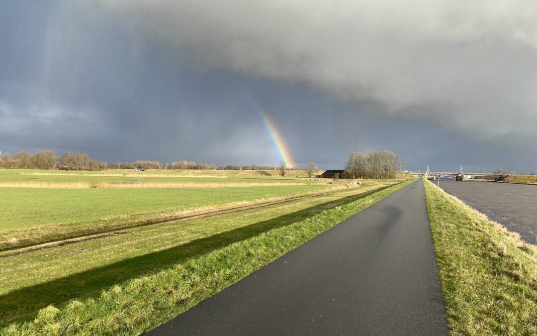Het brein en de mens